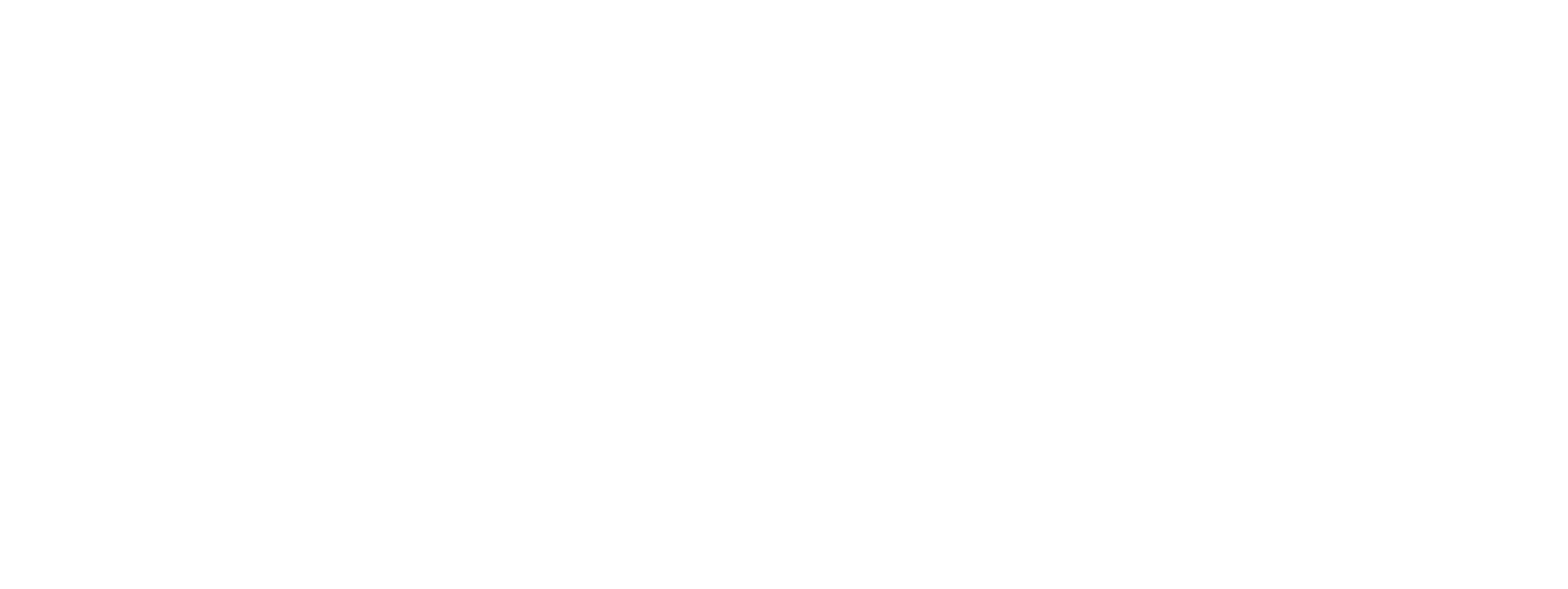 Omer Turner Logo